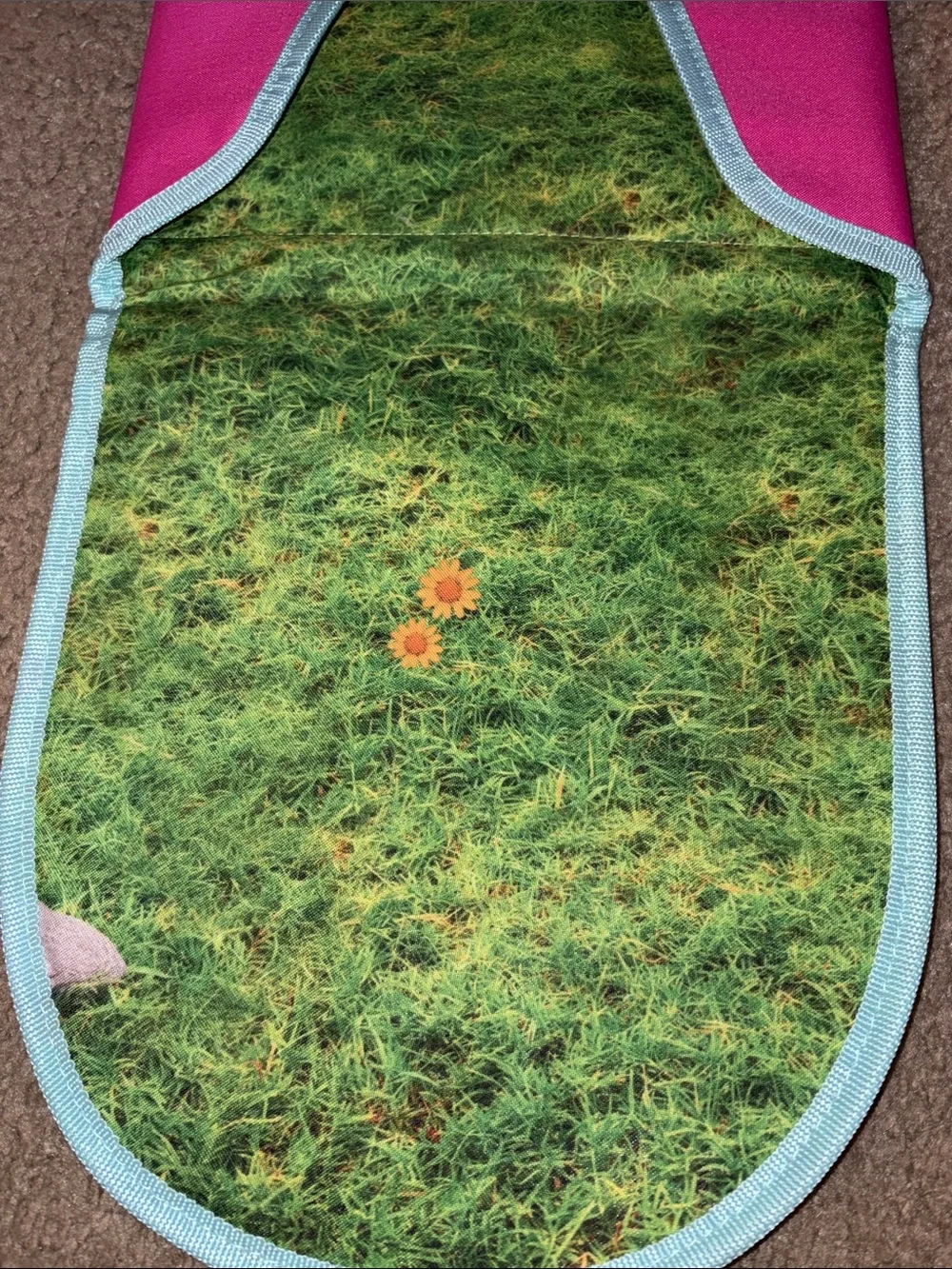 Girls' Pink & Light Blue Mountain Print play scene backpack